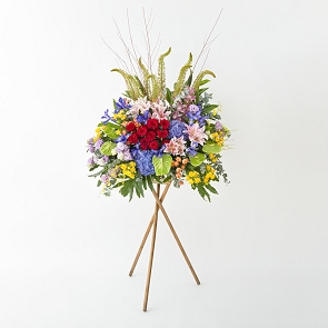 HLB45 ELLISA 開張花籃